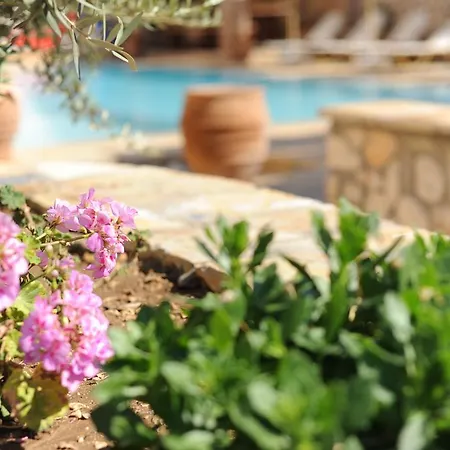 Aparthotel Vita Holidays & Studios Lefkada City
